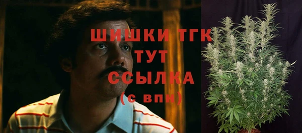 амф Богданович