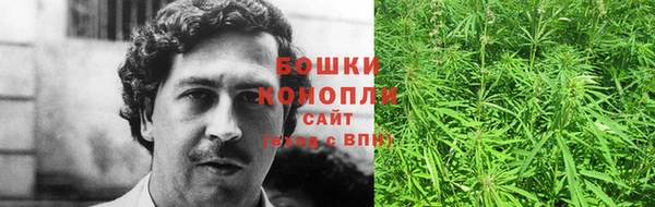 амф Богданович