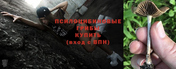 таблы Богородицк
