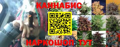 PSILOCYBIN Кинель