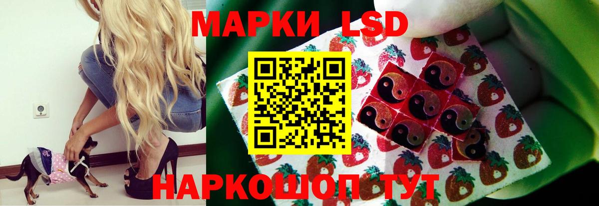 LSD-25 экстази кислота  LSD-25 экстази  LSD-25 экстази кислота  Кузнецк  Вход с VPN 