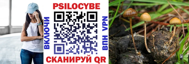 где купить наркоту  Кузнецк  Псилоцибиновые грибы Magic Shrooms 