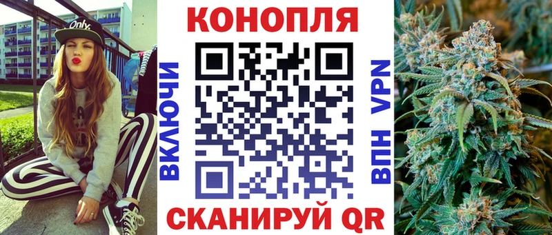 omg зеркало  Кузнецк  Канабис ГИДРОПОН 